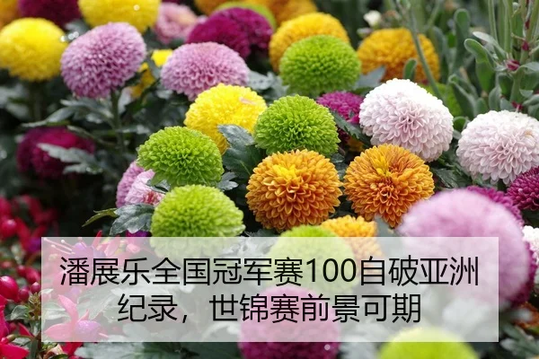 潘展乐全国冠军赛100自破亚洲纪录，世锦赛前景可期