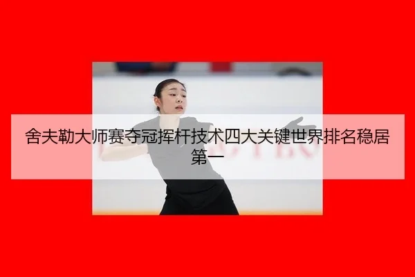 she-fu-lei-da-shi-sai-duo-guan-hui-gan-ji-shu-si-da-guan-jian-shi-jie-pai-ming-wen-ju-di-yi-3-941.jpg