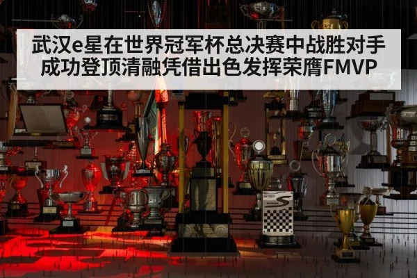武汉e星在世界冠军杯总决赛中战胜对手成功登顶清融凭借出色发挥荣膺FMVP