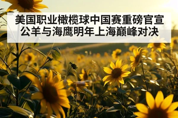 美国职业橄榄球中国赛重磅官宣 公羊与海鹰明年上海巅峰对决