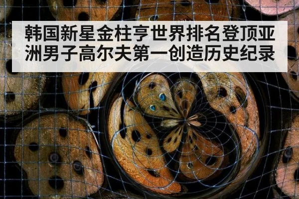 韩国新星金柱亨世界排名登顶亚洲男子高尔夫第一创造历史纪录